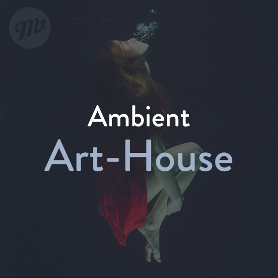 Ambient Art-House
