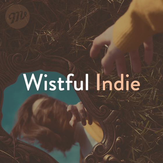 Music Vine Music Licensing For Video Production And Film