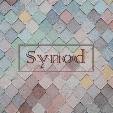 Synod